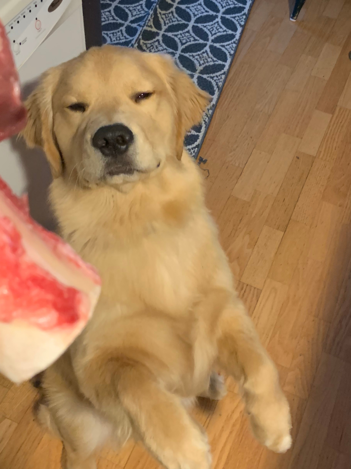 Odin Gallery Placeholder